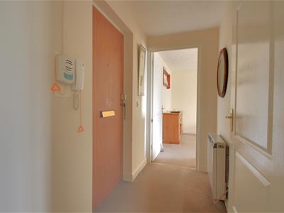 Picture 10